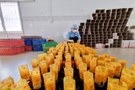 Đóng chai nước mắm tại Cơ sở sản xuất nước mắm Quang Minh (xã Cà Ná, huyện Thuận Nam). (Ảnh: Nguyễn Thành/TTXVN)