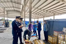 Lực lượng Hải quan Cửa khẩu cầu Bắc Luân II kiểm tra hàng hóa nhập khẩu tại bãi kiểm hóa. (Ảnh: TTXVN phát)