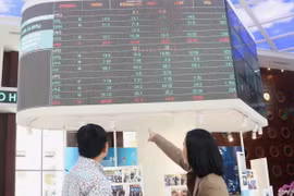 Nhà đầu tư theo dõi diễn biến thị trường chứng khoán tại Sở Giao dịch Chứng khoán Thành phố Hồ Chí Minh. (Ảnh: Hứa Chung/TTXVN