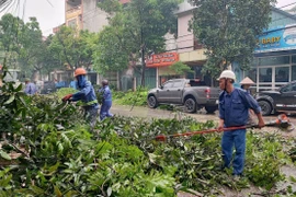 Dông lốc, mưa đá gây ngập úng, gãy đổ cây xanh tại Lào Cai, hôm 6/5. (Ảnh: Quốc Khánh/TTXVN)