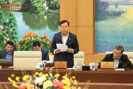 Chủ nhiệm Ủy ban Quốc phòng và An ninh của Quốc hội Lê Tấn Tới trình bày báo cáo. (Ảnh: An Đăng/TTXVN)