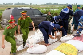 Lực lượng chức năng phòng chống bão tại đê Hà Nam, thị xã Quảng Yên, Quảng Ninh. (Ảnh: Nguyễn Hoàng/TTXVN)