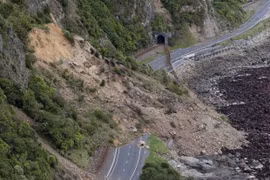 Một con đường bị chia cắt vì động đất ở New Zealand. (Nguồn: CBC)