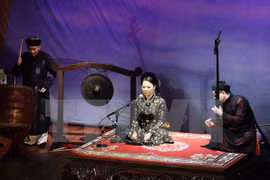 Ảnh minh họa. (Nguồn: TTXVN)