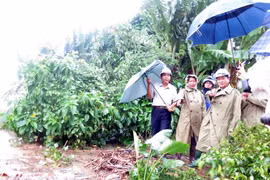 Lãnh đạo tỉnh Quảng Ngãi kiểm tra tình hình khắc phục hậu quả mưa lũ tại huyện Mộ Đức. (Ảnh: Sỹ Thắng: TTXVN)