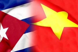 Ảnh minh họa. (Nguồn: Radio Cadena Agramonte) ​