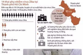 14 thai phụ nhiễm virus Zika tại Thành phố Hồ Chí Minh.