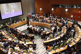 Phó Chủ tịch nước Đặng Thị Ngọc Thịnh dự Phiên họp cấp cao Hội đồng kinh tế-xã hội Liên hợp quốc hồi tháng 7/2016. (Ảnh: Lâm Khánh/TTXVN)