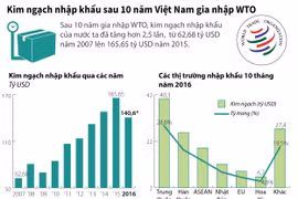 Kim ngạch nhập khẩu sau 10 năm Việt Nam gia nhập WTO.