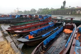 Các tàu, thuyền neo đậu bên bờ sông Ka Long (thành phố Móng Cái) được chằng buộc an toàn. (Ảnh: Văn Đức/TTXVN)
