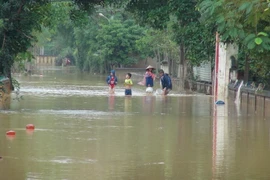 Tại xã Văn Hóa, huyện Tuyên Hóa nước lên nhanh nhiều nơi ngập sâu từ 0,8 đến 3m. (Ảnh chụp lúc 15 giờ ngày 31/10/2016). (Ảnh: Đức Thọ/TTXVN)