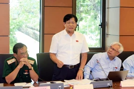 Đại biểu Quốc hội Thành phố Hồ Chí Minh Nguyễn Đức Sáu phát biểu tại tổ. (Ảnh: Phạm Kiên/TTXVN)