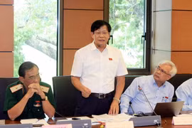 Đại biểu Quốc hội Thành phố Hồ Chí Minh Nguyễn Đức Sáu phát biểu tại tổ. (Ảnh: Phạm Kiên/TTXVN)