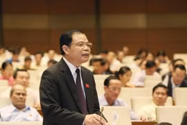 Bộ trưởng Bộ Nông nghiệp và Phát triển nông thôn Nguyễn Xuân Cường giải trình và làm rõ các vấn đề đại biểu Quốc hội nêu. (Ảnh: Phương Hoa/TTXVN)