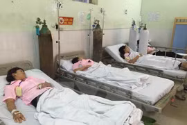 (Ảnh minh họa: Thế Duyệt/TTXVN)