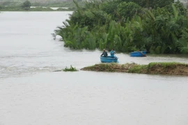 Mưa lũ đã làm vỡ bờ bao đìa nuôi tôm của người dân. (Ảnh: Nguyễn Thành/TTXVN)
