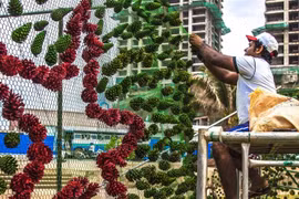 Công nhân tham gia trang trí cây thông Noel cao nhất thế giới. (Nguồn: Al Jazeera)