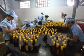 Ảnh minh họa. (Nguồn: TTXVN)