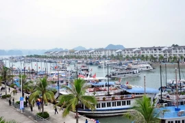 Quang cảnh Cảng tàu khách quốc tế Tuần Châu. (Ảnh: Nguyễn Hoàng/TTXVN)
