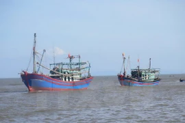 (Ảnh minh họa: Nguyễn Văn Nhật/TTXVN)