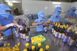 Ảnh minh họa. (Nguồn: TTXVN)