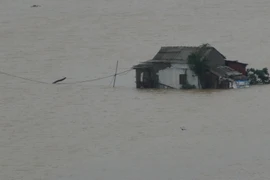 Một nhà dân tại xã Quảng Hải, thị xã Ba Đồn bị nước lũ bao vây. Ảnh chụp lúc 7 giờ sáng 1/11/2016. (Ảnh: Đức Thọ/TTXVN)