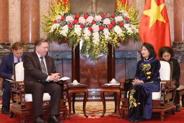 Phó Chủ tịch nước Đặng Thị Ngọc Thịnh tiếp Ngài Alexander Mikhailov, Thống đốc tỉnh Kursk (Liên bang Nga) sang thăm Việt Nam. (Ảnh: Phương Hoa/TTXVN) 