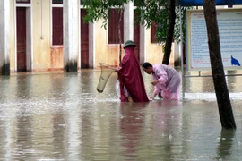 Người dân đi bắt cá ngay trong khu dân cư. (Ảnh: Công Tường/TTXVN)