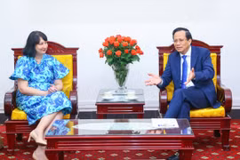 Bộ trưởng Bộ Lao động-Thương binh và Xã hội Đào Ngọc Dung trao đổi thông tin với bà Cristina Romila, Đại sứ Romania tại Việt Nam. (Ảnh: PV/Vietnam+)