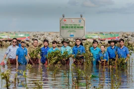 Một trong những dự tán tham gia dự thi Giải thưởng Hành động vì cộng đồng 2024.