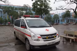 Ảnh minh họa. (Nguồn: TTXVN)
