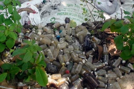 Ảnh minh họa. (Nguồn: TTXVN)