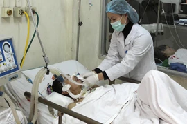 Ảnh minh họa. (Ảnh: TTXVN)