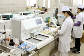 Ảnh minh họa. (Nguồn: TTXVN)