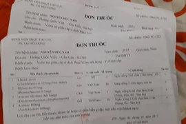Ảnh minh họa. (Ảnh: PV/Vietnam+)