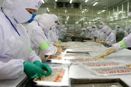 Chế biến tôm xuất khẩu. (Ảnh: Trần Việt/TTXVN)