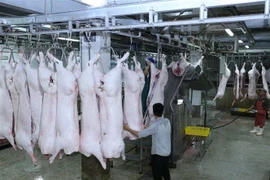 Sản xuất thực phẩm tại một công ty. (Ảnh: Vũ Sinh/TTXVN)