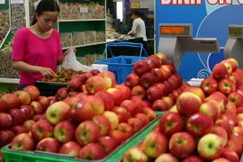 Thu hồi táo nhập khẩu từ Hoa Kỳ nhiễm vi khuẩn gây chết người