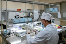 Kết quả xét nghiệm tại Bệnh viện Trung ương Quân đội 108 được nhiều nước trên thế giới công nhận. (Ảnh: PV/Vietnam+) 