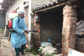 Phun hóa chất diệt muỗi tại một gia đình. (Ảnh: Đinh Tuấn/TTXVN)