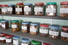 Khu trưng bày các loại thuốc thiết yếu của người Chăm tại Ninh Thuận. (Ảnh: Nguyễn Thành/TTXVN)