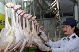 Thành lập 6 đoàn thanh tra an toàn thực phẩm dịp Tết Nguyên đán 