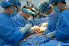 Ảnh minh họa. (Nguồn: TTXVN/Vietnam+)
