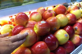 Vi khuẩn có trong táo nhập khẩu từ Hoa Kỳ nguy hiểm như thế nào? 