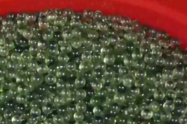 Sản phẩm thuốc ho bẩn. (Nguồn: VTV)