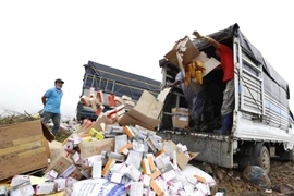 Cơ quan quan lý tiêu hủy các sản phẩm thực phẩm chức năng sai phạm. (Ảnh: TTXVN/Vietnam+)