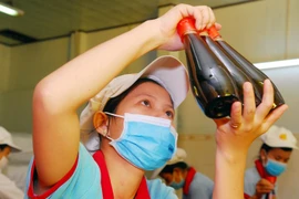 Ảnh minh họa. (Nguồn: TTXVN/Vietnam+)