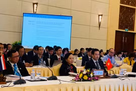 Bộ trưởng Bộ Y tế dự phiên toàn thể của Hội nghị Bộ trưởng Y tế ASEAN lần thứ 14. (Ảnh: PV/Vietnam+)