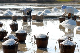 WHO kêu gọi người dân Việt Nam không nên lạm dụng muối