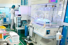 Chăm sóc cho trẻ sơ sinh. (Ảnh: Dương Ngọc/TTXVN)